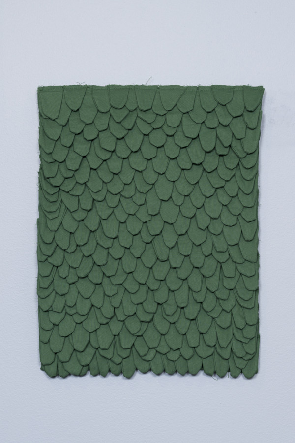 Omformulerte øyeblikk/grønske