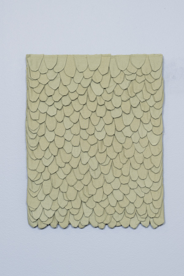 Omformulerte øyeblikk/pistasj