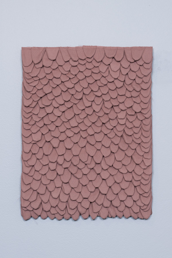 Omformulerte øyeblikk/skogsbær