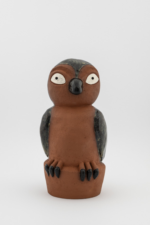 Strigiformes