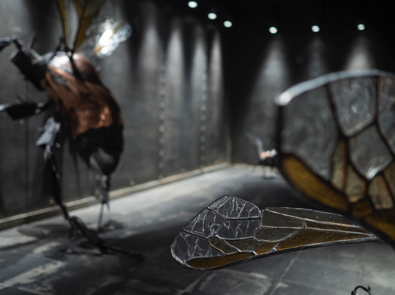 Nest – Kjetil Aschim