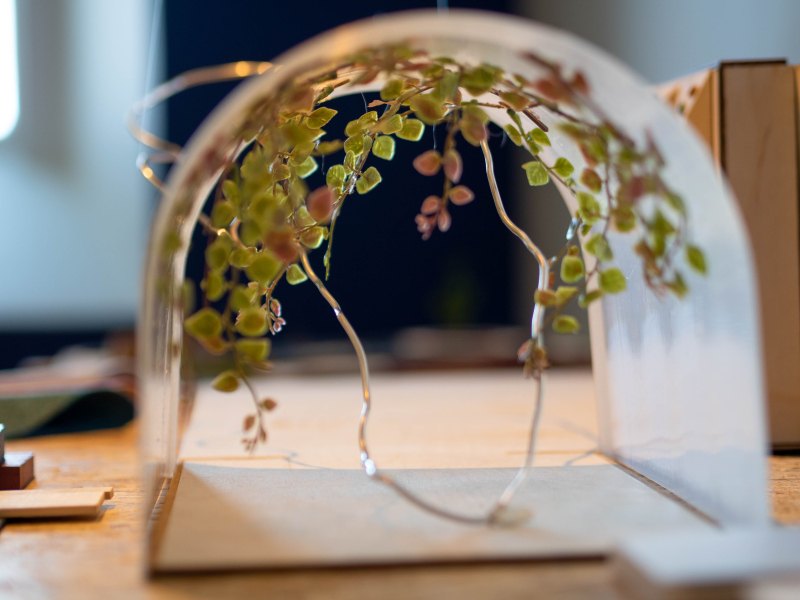 Rå (Raw) – KMD-studenter, Institutt For Design