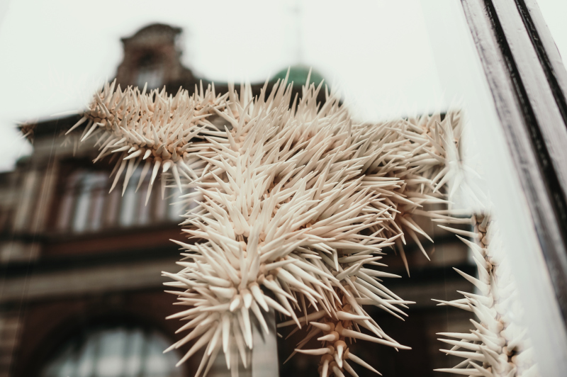 Vindusutstilling – Daniela Bergschneider, Katrin Rusten, Christian Dupont, Haruka Fukao