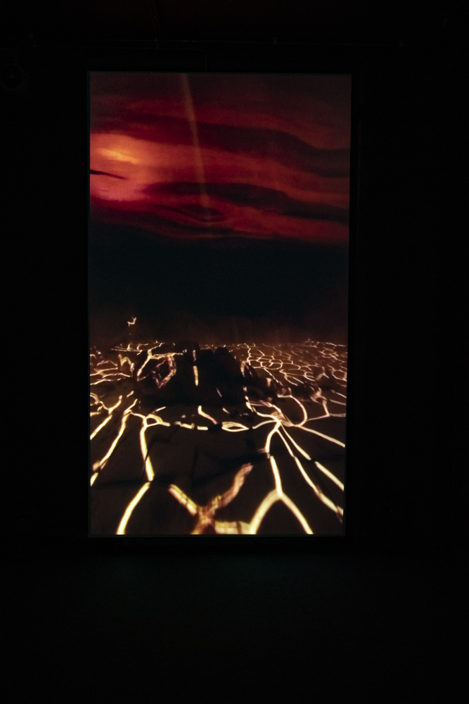 De har tatt mine dekorasjoner – Ida Windingstad