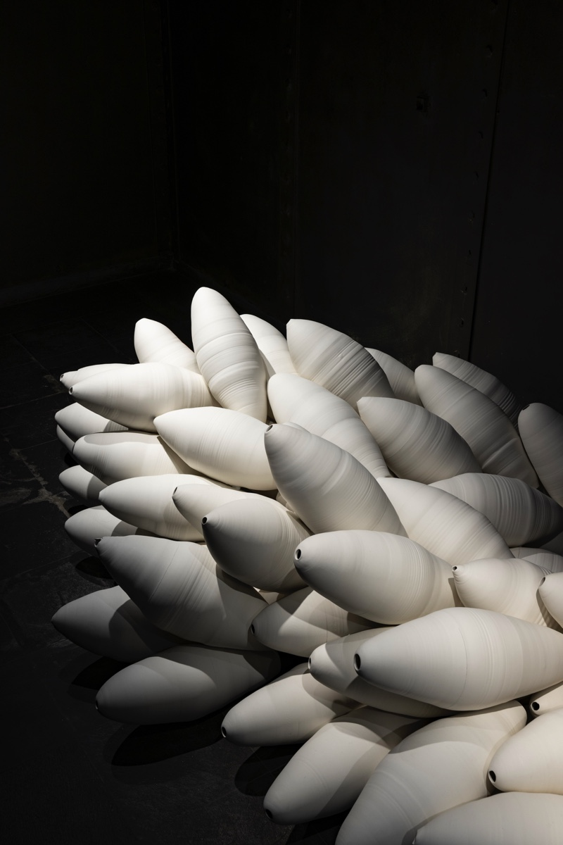 Kapsel – Martin Woll Godal