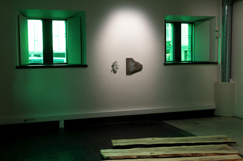 Symbioser – Sofia Eliasson