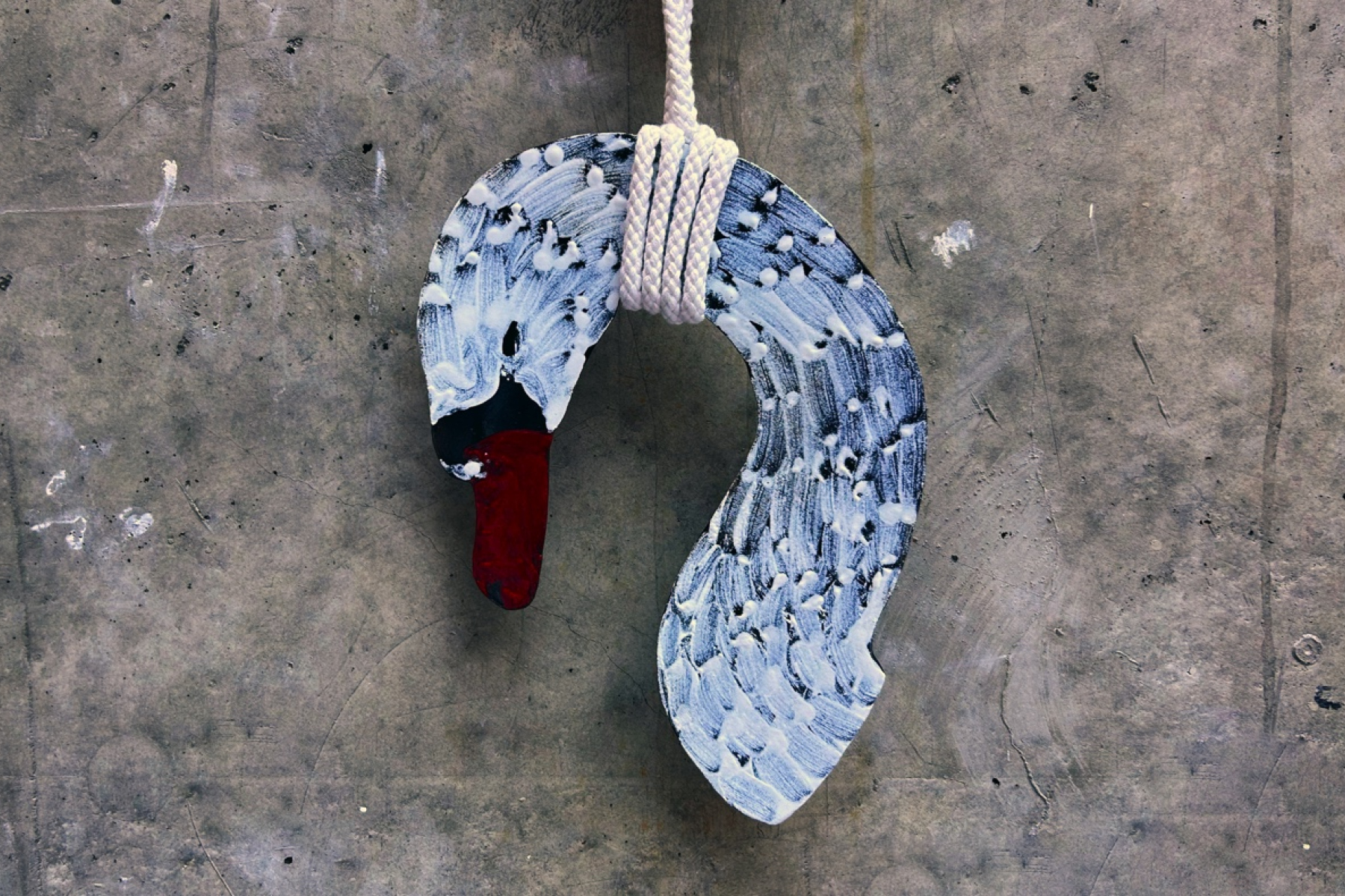 Cygnus Purus – Camilla Luihn