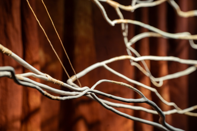 Sissiimässä – Åsne Kummeneje Mellem