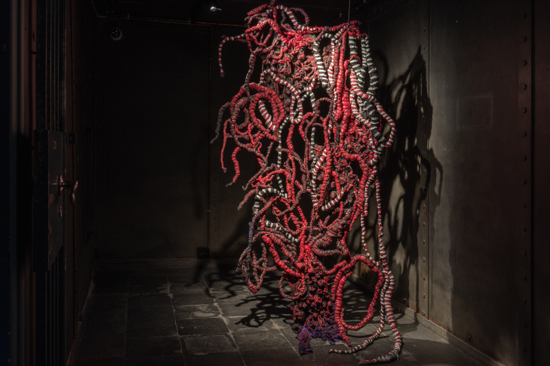 Burdened Skins – Sampson Addae