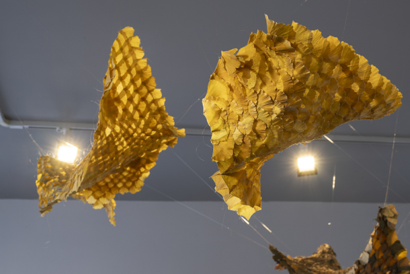 Tempeltrepassasjen – Tina Kryhlmann